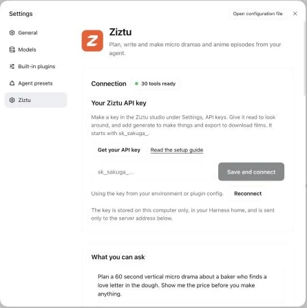 The Ziztu page in DeepSeek Harness Settings: the status shows 30 tools ready, with the API key box, a Get your API key button and a list of things to ask